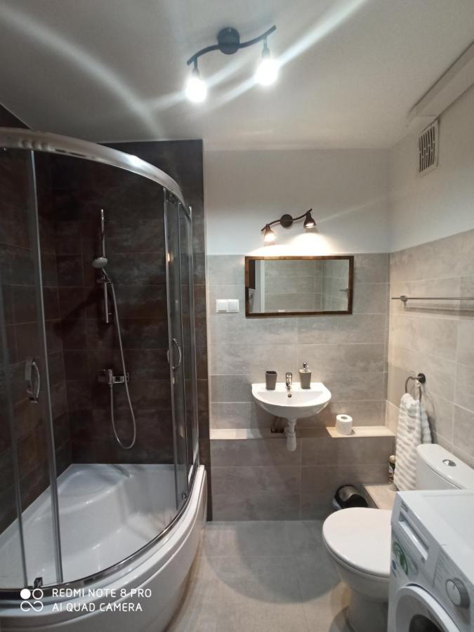 Apartament Pod Sanockim Zamkiem Sanok Extérieur photo